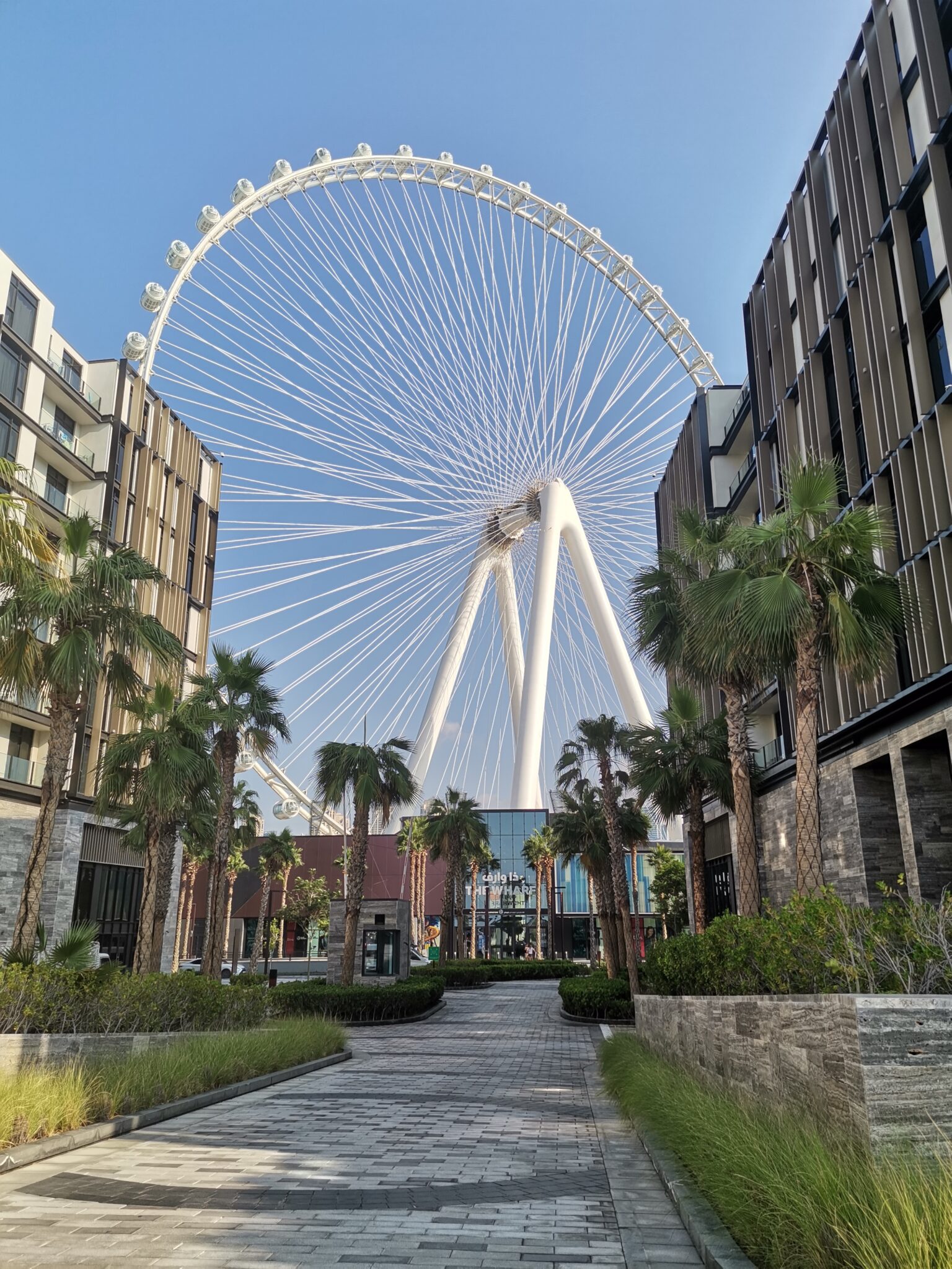 Ain Dubai seen from a street on Bluewaters Island